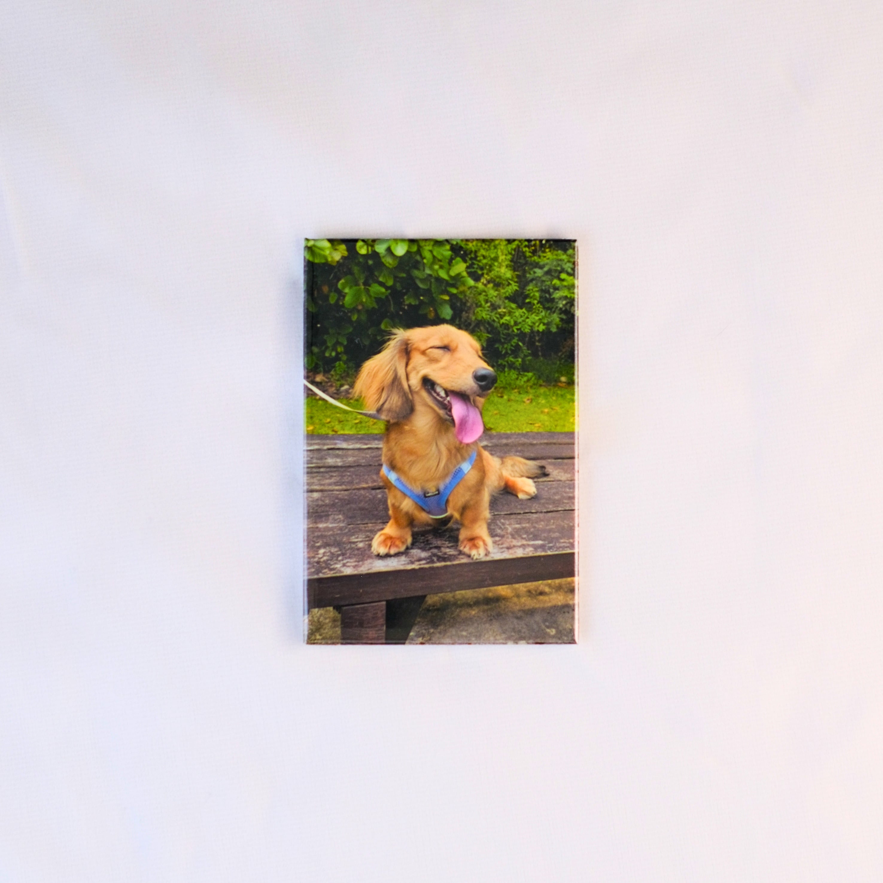 Rectangle Custom Magnet
