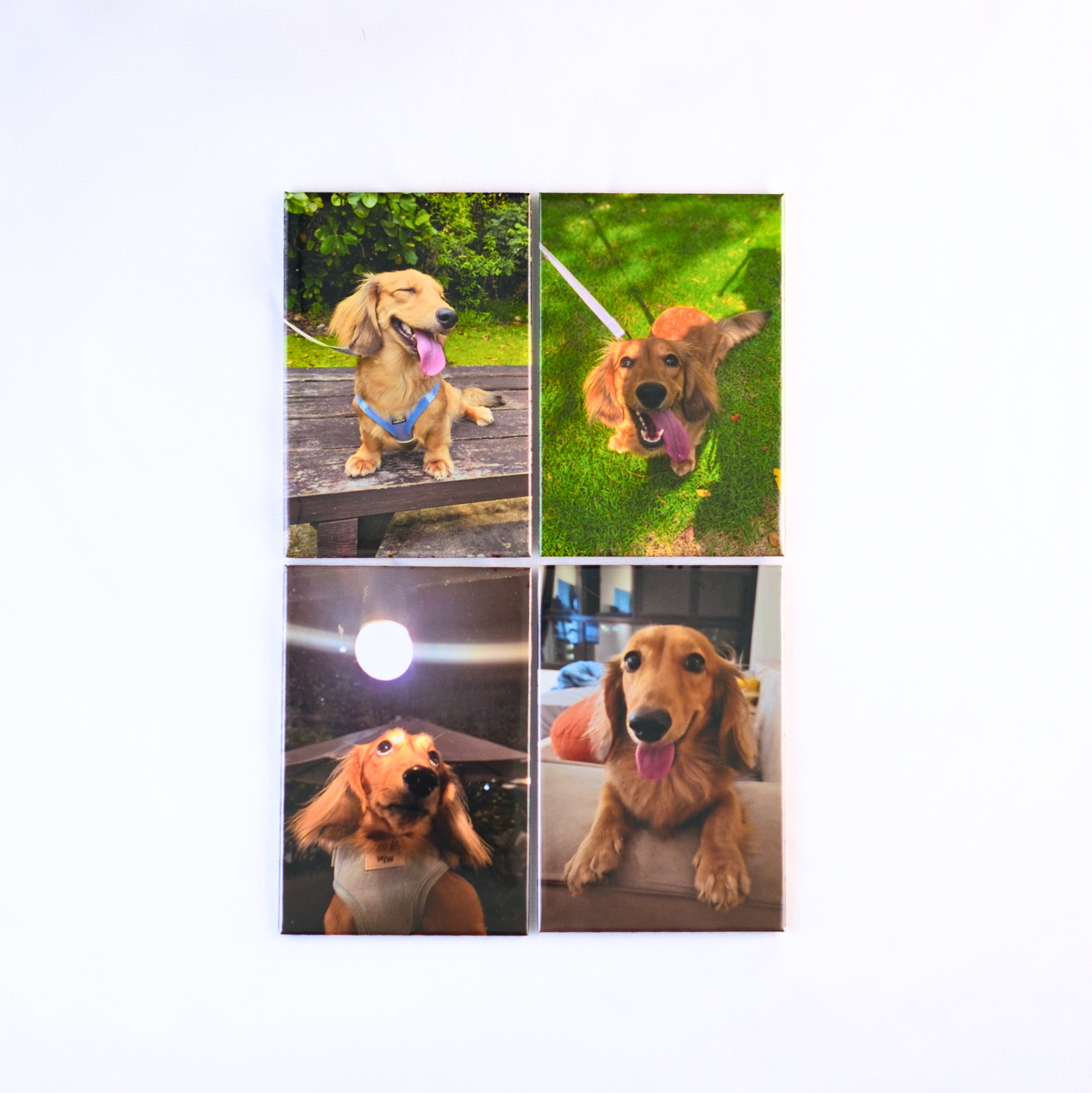 Rectangle Custom Magnet